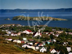 Carbonear
